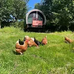 The At Shambala- Now With Sauna Available To Book! * Whitby