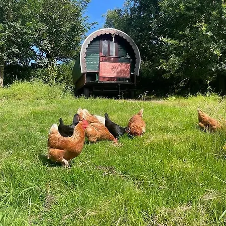 The At Shambala- Now With Sauna Available To Book! * Whitby