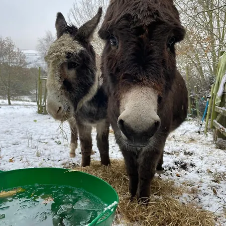 Chalet The At Shambala- Now With Sauna Available To Book! Whitby