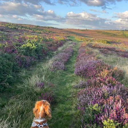 The At Shambala- Now With Sauna Available To Book!